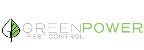 Green Power Pest Control