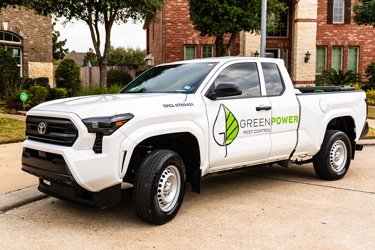 Green Power Truck